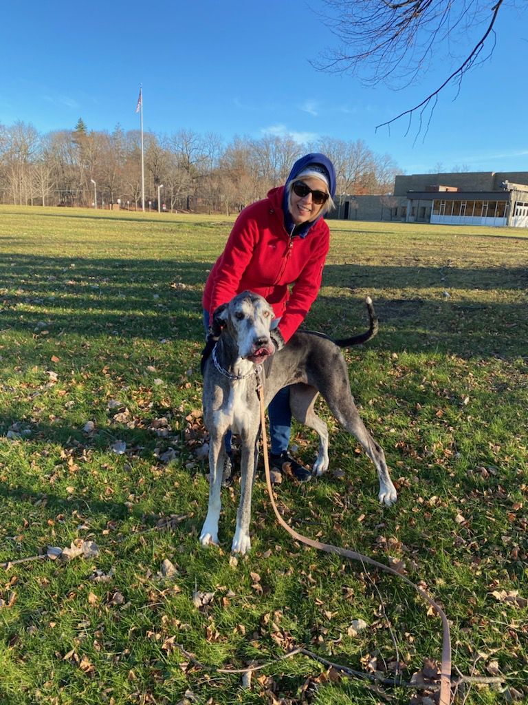 Penny the Great Dane.
